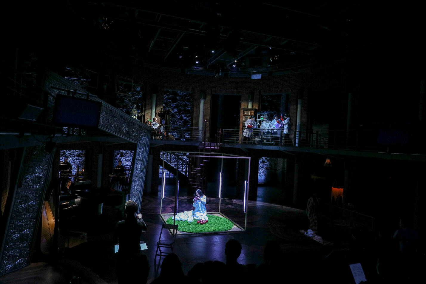 Rappaccini's Daughter, 2024